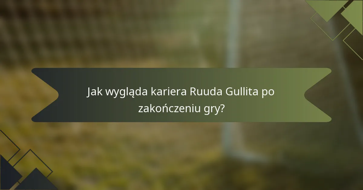 Jak wygląda kariera Ruuda Gullita po zakończeniu gry?